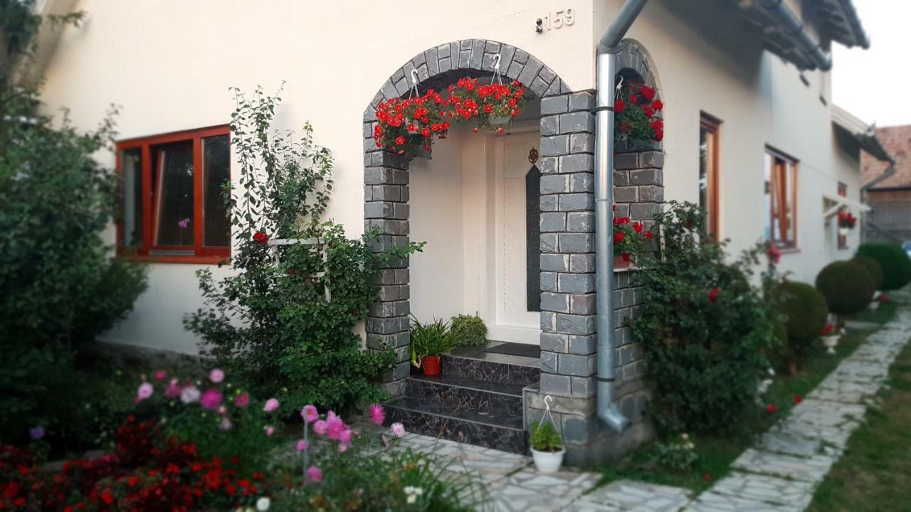 Rita Vendeghaz Διαμέρισμα Ciumani Εξωτερικό φωτογραφία
