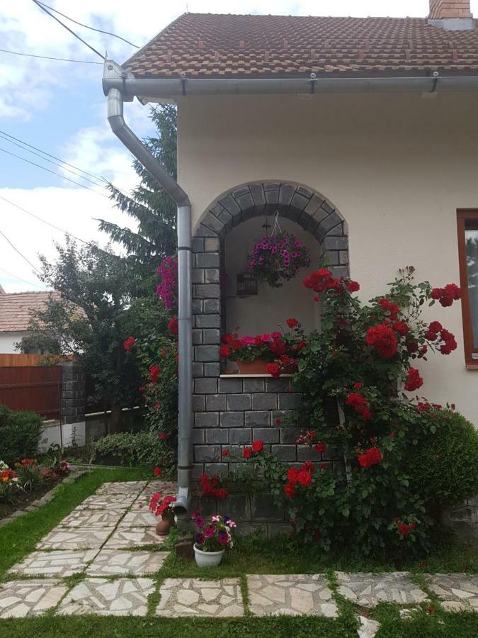 Rita Vendeghaz Διαμέρισμα Ciumani Εξωτερικό φωτογραφία